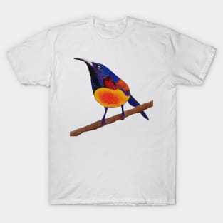 Green-tailed sunbird T-Shirt